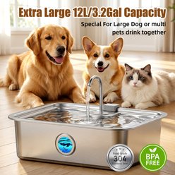 Casfuy ZT-50 Large Stainless Steel with Dry Burn Protection Pump Dog Water Fountain, 3.2-gal slide 2 of 8