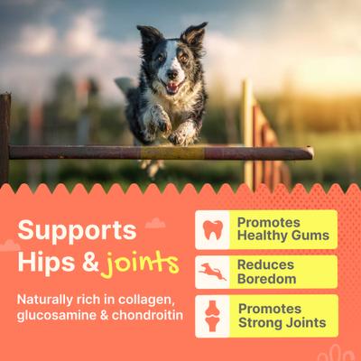 Show full view: Gaines Family Farmstead Duck Feet Grain-Free Dehydrated Dog Treats, 20 count slide 4 of 7