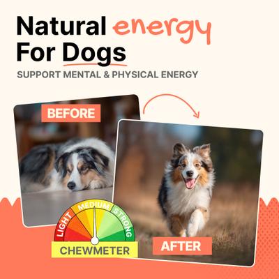 Show full view: Gaines Family Farmstead Duck Heads Grain-Free Dehydrated Dog Treats, 3 count slide 7 of 7