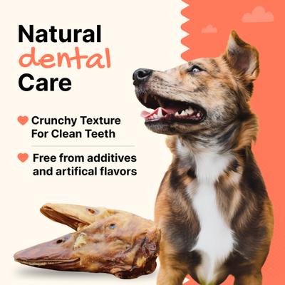 Show full view: Gaines Family Farmstead Duck Heads Grain-Free Dehydrated Dog Treats, 3 count slide 6 of 7