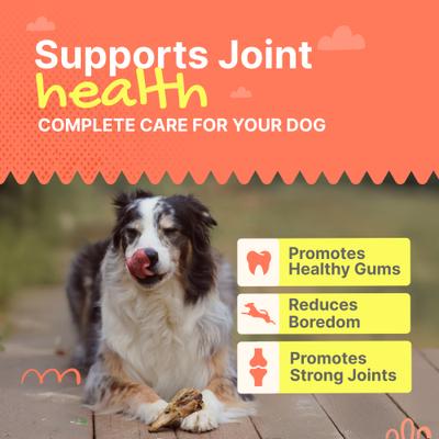 Show full view: Gaines Family Farmstead Duck Heads Grain-Free Dehydrated Dog Treats, 3 count slide 4 of 7