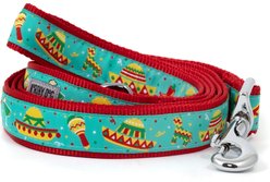 The Worthy Dog Cinco de Mayo Lead Adjustable Dog Collar, Turquoise, Large
