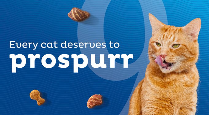 Every cat deserves to prospurr