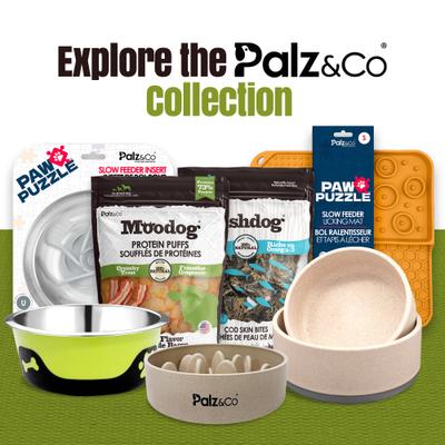 Show full view: Palz&Co EcoBowl Dog Bowl, Sky Blue, Small: 3.5-cup slide 9 of 9