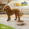 Show in main carousel: Palz&Co EcoBowl Dog Bowl, Slate, Small: 3.5-cup slide 8 of 9