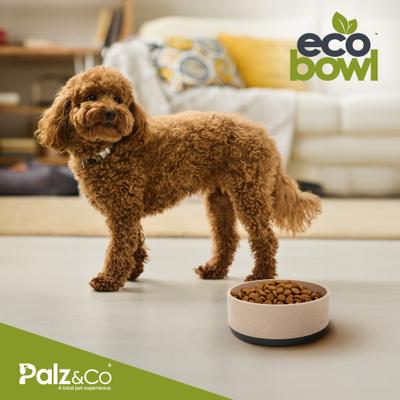 Show full view: Palz&Co EcoBowl Dog Bowl, Slate, Small: 3.5-cup slide 8 of 9