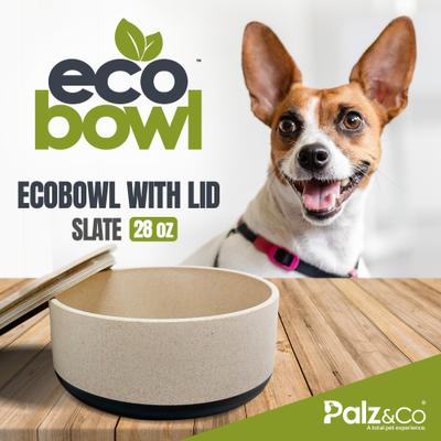 Show full view: Palz&Co EcoBowl Dog Bowl, Slate, Small: 3.5-cup slide 2 of 9