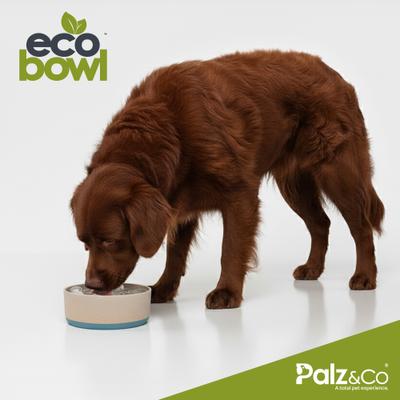 Show full view: Palz&Co EcoBowl Dog Bowl, Sky Blue, Large: 10-cup slide 8 of 9