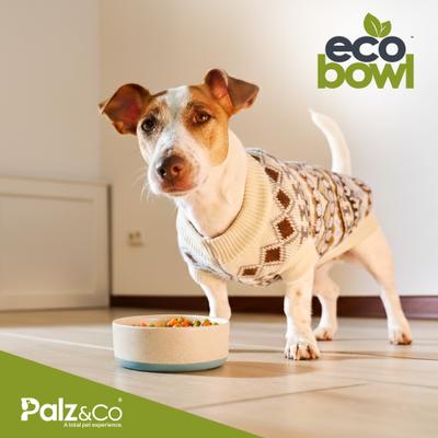 Show full view: Palz&Co EcoBowl Dog Bowl, Sky Blue, Small: 3.5-cup slide 8 of 9