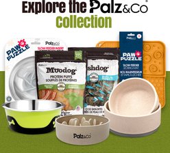 Palz&Co EcoBowl Dog Bowl, Forest Green, Large: 10-cup slide 2 of 9
