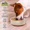 Show in main carousel: Palz&Co EcoBowl Dog Bowl, Cinnamon, Small: 3.5-cup slide 4 of 9