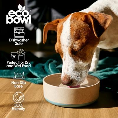 Show full view: Palz&Co EcoBowl Dog Bowl, Sky Blue, Small: 3.5-cup slide 4 of 9