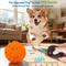 Show in main carousel: UPSKY Interactive Ball Dog Toy with Remote, Orange slide 3 of 10