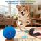 Show in main carousel: UPSKY Interactive Ball Dog Toy with Remote, Blue slide 3 of 10