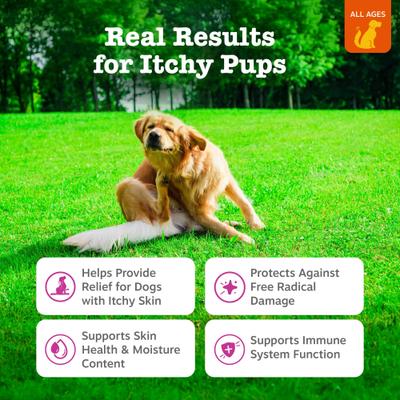 Show full view: Zesty Paws Itch Relief Bites Chicken Flavored Soft Chews Immune Supplement for Dogs, 90 count slide 3 of 10