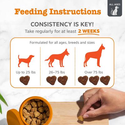 Show full view: Zesty Paws Vet Strength Allergy & Immune Bites Soft Chews Fish Oil Supplement for Dogs, 90 count slide 5 of 10