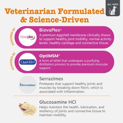 Show full view: Zesty Paws Vet Strength Hip & Joint Soft Chews Glucosamine Mobility Supplement for Dogs, 90 count slide 4 of 12