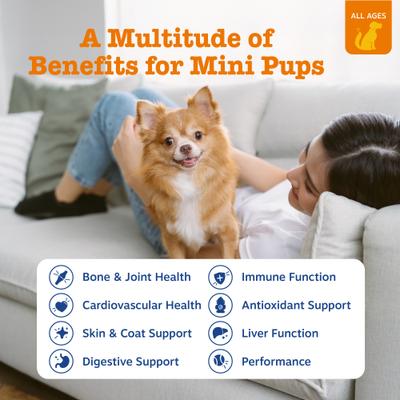 Show full view: Zesty Paws 8-in-1 Mini Bites Chicken Flavored Soft Chews Multivitamin Supplement for Small Dogs, 90 count slide 3 of 12