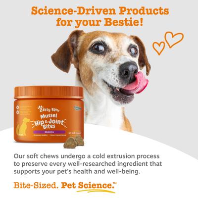 Show full view: Zesty Paws Mussel Mobility Bites Chicken Flavored Soft Chews Hip & Joint Supplement for Dogs, 90 count slide 7 of 11
