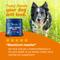 Show in main carousel: Zesty Paws Advanced Mobility Bites Chicken Flavored Soft Chews Glucosamine Hip & Joint Supplement for Senior Dogs, 90 count slide 7 of 11