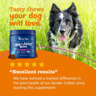Show full view: Zesty Paws Advanced Mobility Bites Chicken Flavored Soft Chews Glucosamine Hip & Joint Supplement for Senior Dogs, 90 count slide 7 of 11