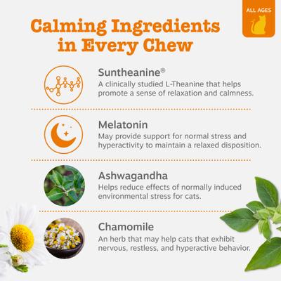 Show full view: Zesty Paws Calming Bites Bacon Flavored Soft Chews Melatonin Supplement for Cats, 60 count slide 4 of 10