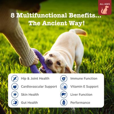 Show full view: Zesty Paws Ancient Elements 8-in-1 Bites Bison Flavored Soft Chews Multivitamin for Dogs, 90 count slide 3 of 11