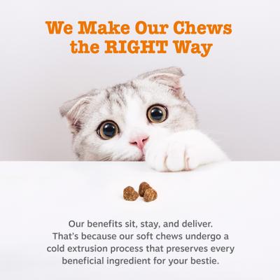Show full view: Zesty Paws Calming Bites Bacon Flavored Soft Chews Melatonin Supplement for Cats, 60 count slide 7 of 10