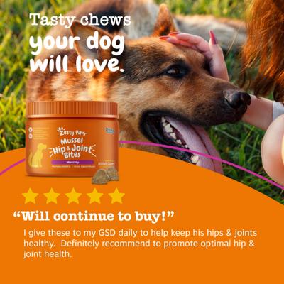 Show full view: Zesty Paws Mussel Mobility Bites Chicken Flavored Soft Chews Hip & Joint Supplement for Dogs, 90 count slide 8 of 11