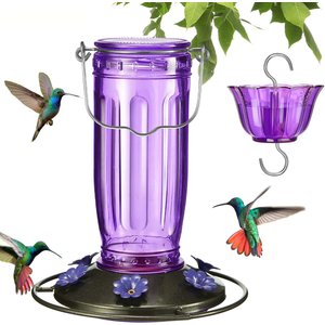 Yarty 16-oz Glass Hummingbird Feeder with Ant Moat, Purple