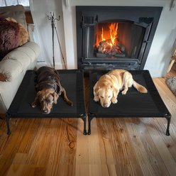 Veehoo Cooling Elevated Portable Cot Dog Bed, Black, Large, 2 count slide 2 of 7