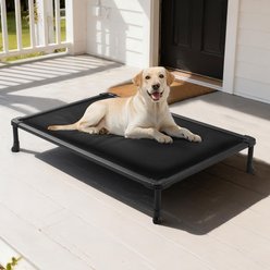 Veehoo Chewproof Padded Raised Cot Dog Bed, Black, X-Large slide 2 of 7