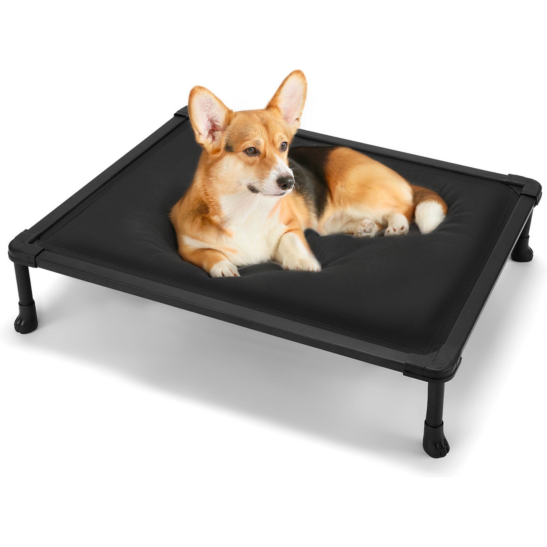 Veehoo Chewproof Padded Raised Cot Dog Bed, Black, Large