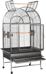 A&E Cage Company Opening Dome Top Bird Cage, Platinum, 32 x 23-in