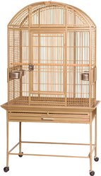 A&E Cage Company HQ Dome Top Bird Cage, 32 x 23 x 63-in, Sandstone