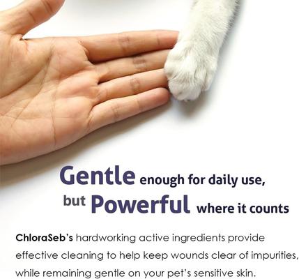Show full view: ChloraSeb Pledget Wipes for Dogs, 50 count slide 8 of 9
