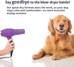 ChloraSeb Antiseptic Spray for Dogs, 8-oz bottle slide 2 of 8