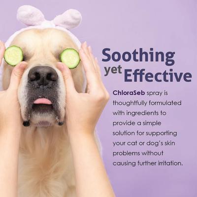 Show full view: ChloraSeb Antiseptic Spray for Dogs, 8-oz bottle slide 8 of 10
