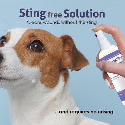Show full view: ChloraSeb Antiseptic Spray for Dogs, 8-oz bottle slide 4 of 10
