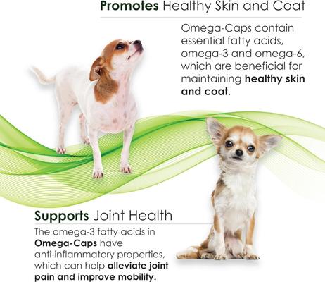 Show full view: Omega-Caps Softgel Capsules for Cats & Small Dogs, 60 count slide 6 of 11