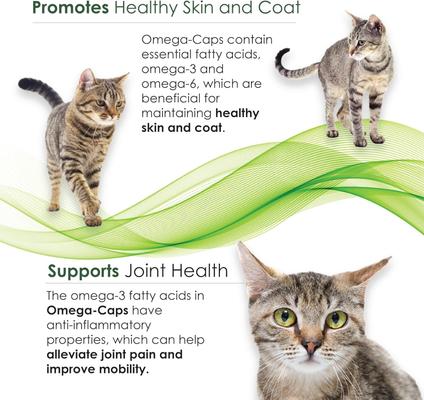 Show full view: Omega-Caps Softgel Capsules for Cats & Small Dogs, 60 count slide 7 of 11