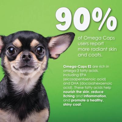 Show full view: Omega-Caps Softgel Capsules for Cats & Small Dogs, 60 count slide 4 of 11