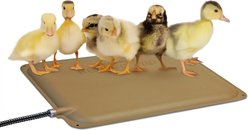 K&H Pet Products Thermo-Peep Heated Pad
