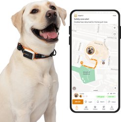 Pawfit 3 Dog GPS Tracker, White