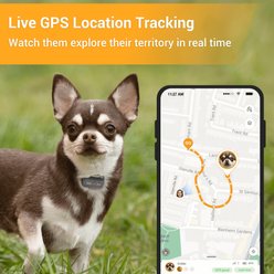 Pawfit Lite Dog GPS Tracker, Simply White slide 2 of 5