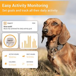 Pawfit Lite Dog GPS Tracker, Charcoal Grey slide 2 of 5