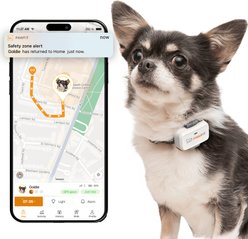 Pawfit Lite Dog GPS Tracker, Simply White