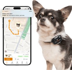 Pawfit Lite Dog GPS Tracker, Onyx Black