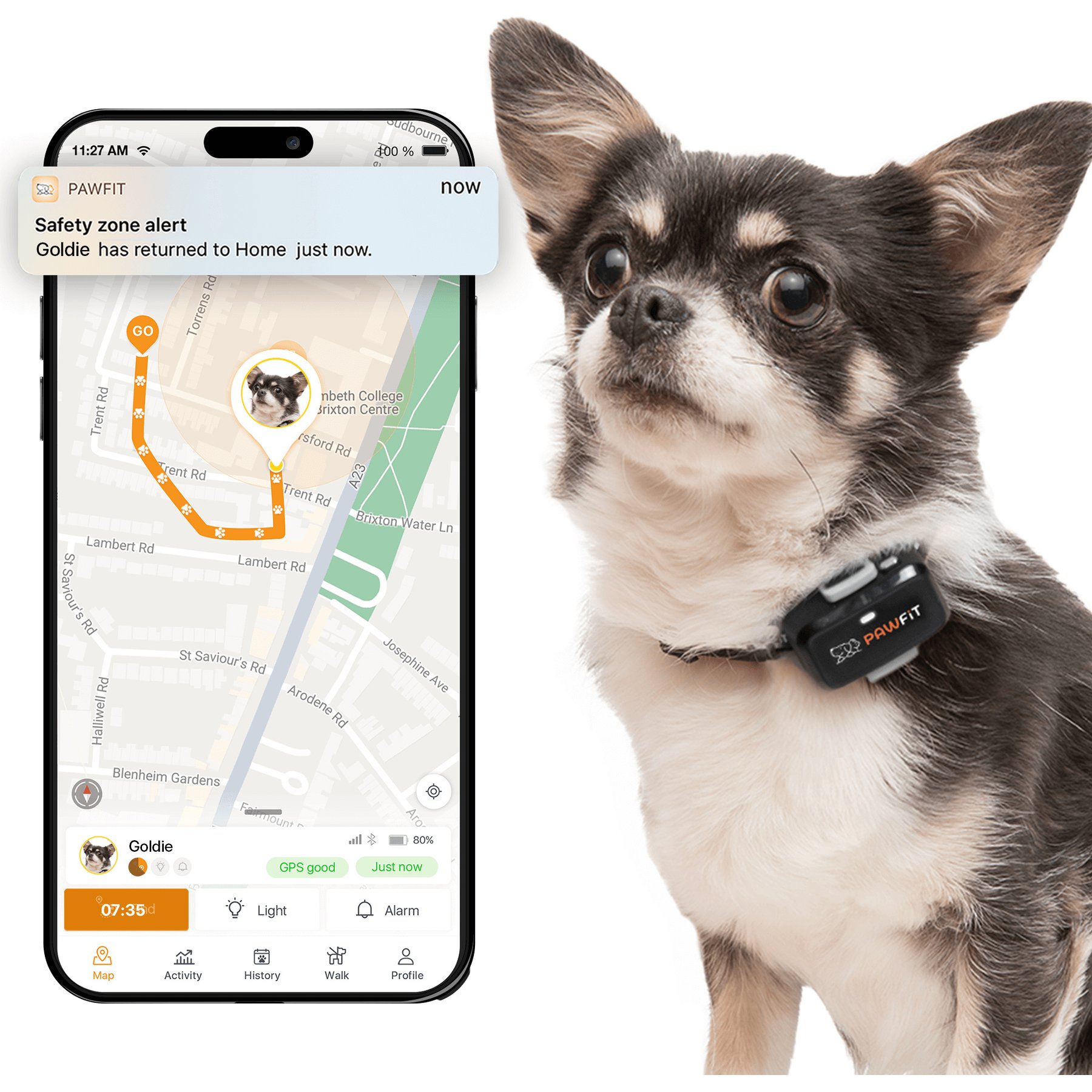Pawfit Lite Dog GPS Tracker, Onyx Black