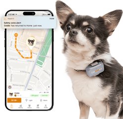 Pawfit Lite Dog GPS Tracker, Lilac Grey
